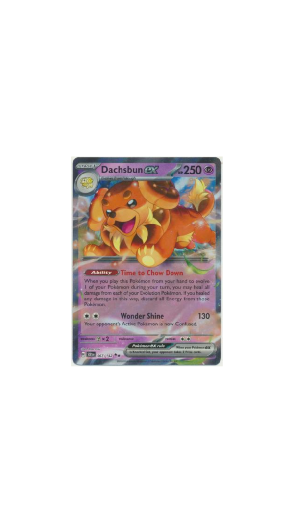 Dachsbun EX - 067/142 - Ultra Rare (PT)